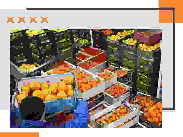 Перевозка скоропортящихся продуктов в Саяногорске